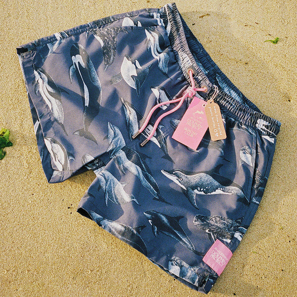 Skwosh deals board shorts