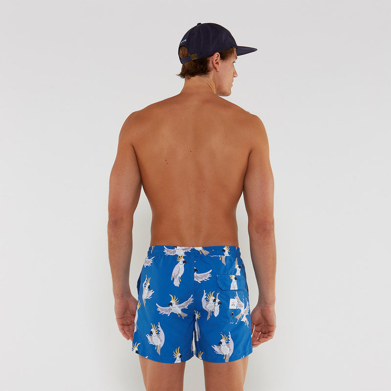 Mr Cocky 3.0 Swim Shorts